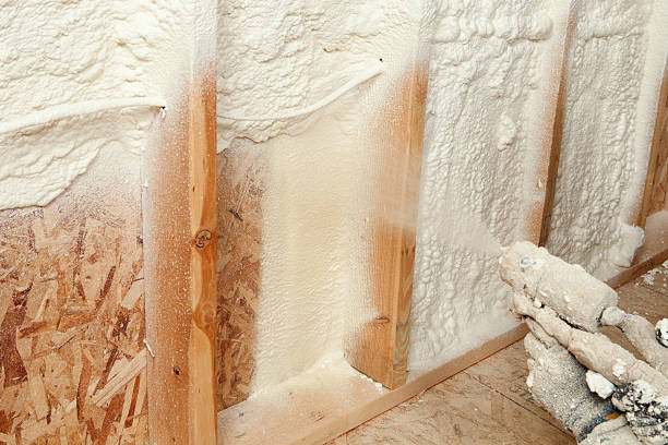 Best Spray Foam Insulation  in Mmaduke, AR